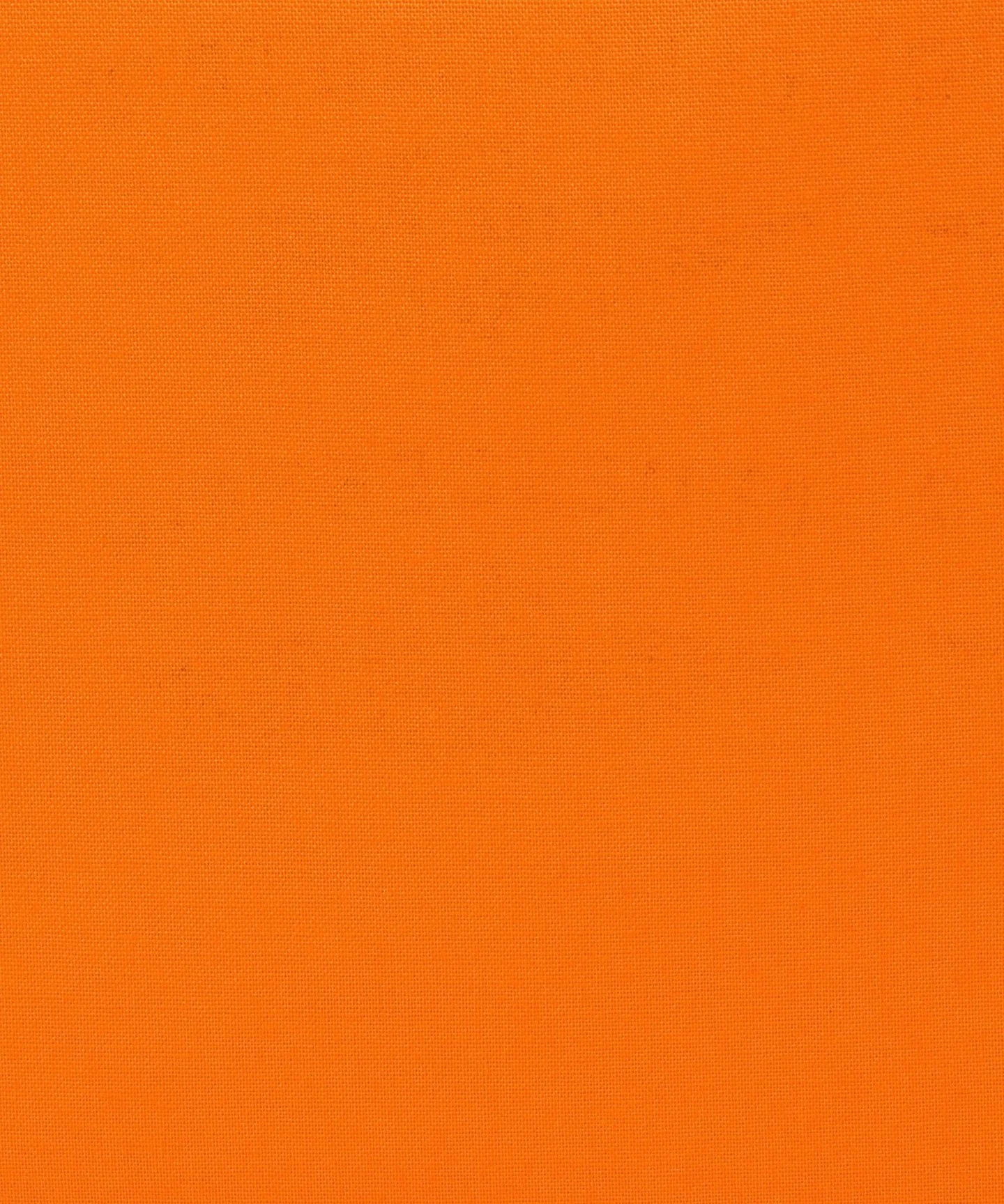 Thumbnail 21